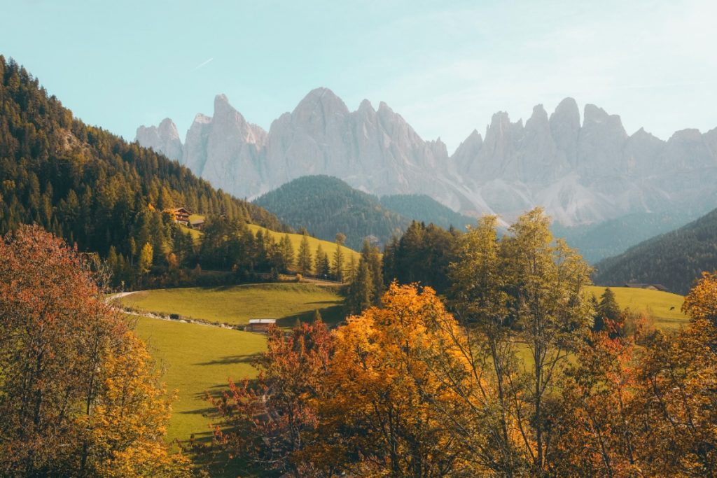 Blog 1 — nature and reflection